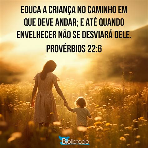 provérbios 22 6